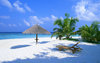 Beach desktop background 110342972