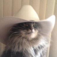 Country_cat