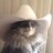 Country_cat