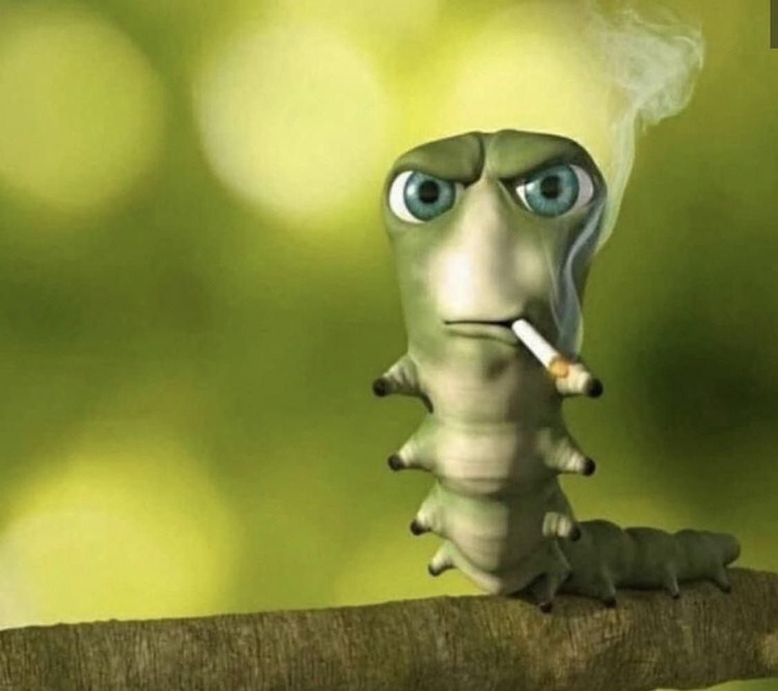Caterpillar smoking a cigarette : r/interestingasfuck